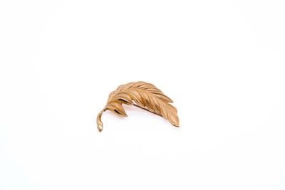 gold leaf brooch on a white background