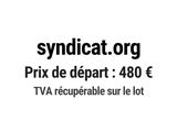 Photo 1/1 du lot