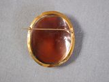 an image of a gold and red broochle with a stick sticking out of it