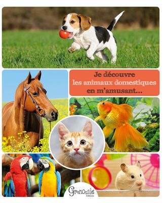 pictures of different animals and birds in this picture
