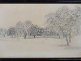 dessin représentant un parc avec des arbres et un bâtiment en arrière-plan