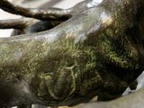 une statue représentant un cheval debout sur un rocher