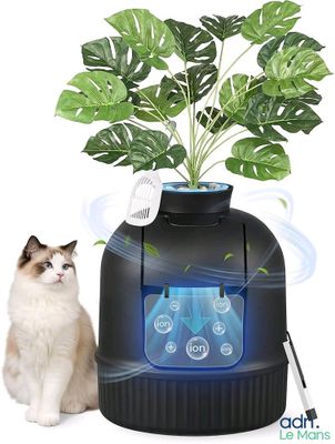 une photo d'un chat assis à côté d'une plante en pot