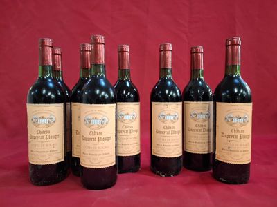 8 Bouteilles Côtes de Bourg Château Dupeyrat Plougot 2001 récoltant pa