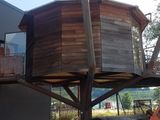 une cabane dans les arbres aménagée sur le flanc d'un immeuble
