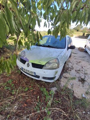 a white car that is parked under a tree