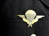a picture of a badge with a parachut attached to it