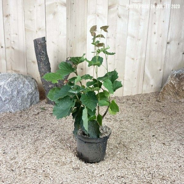 Destockage & Invendus