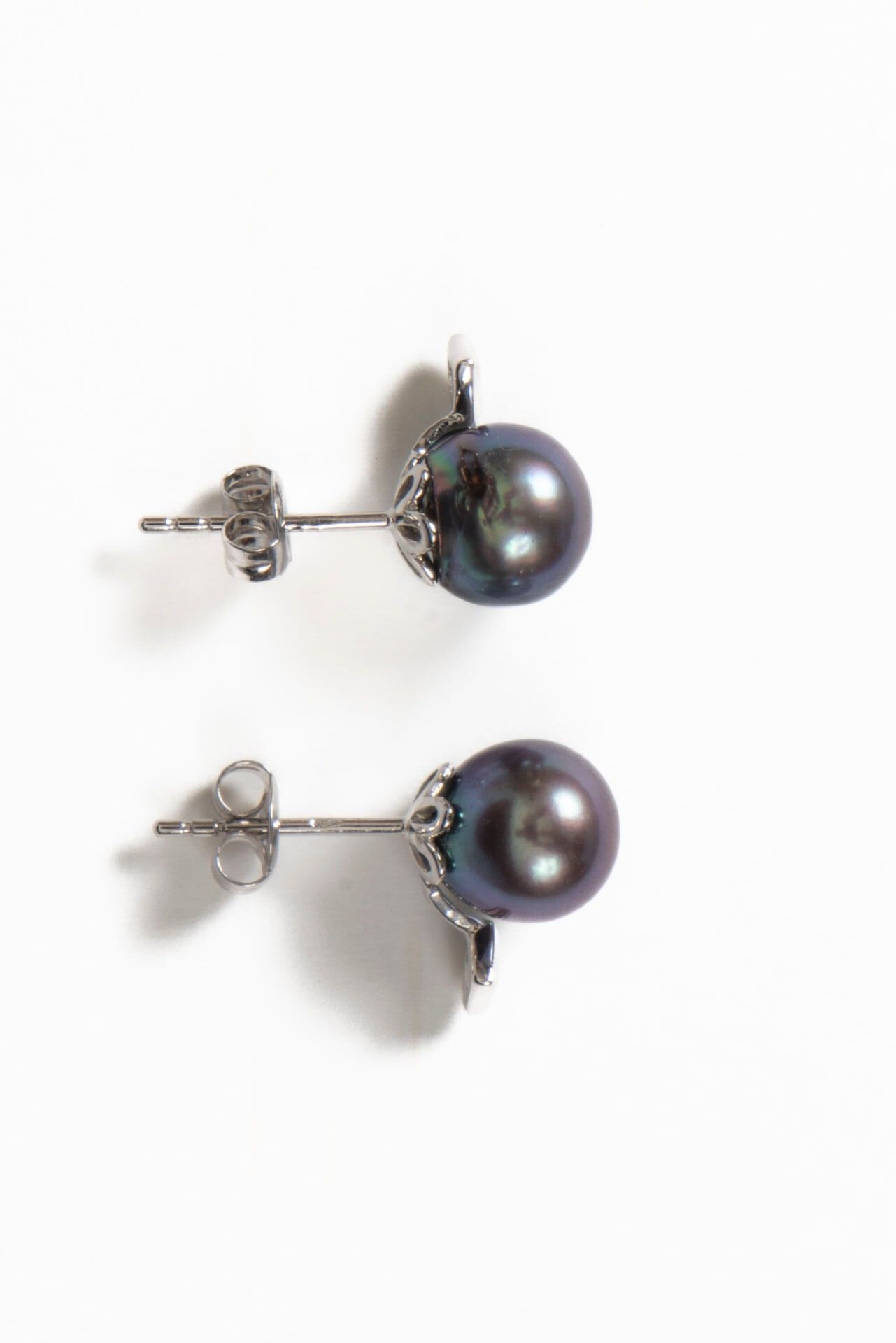 Objets d'art & Curiosités