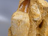 a close up of a rock with a piece of rock in it