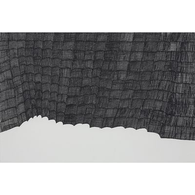 une photo en noir et blanc d'un morceau de tissu orné d'un motif