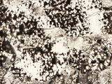 Photo 1/5 du lot
