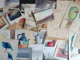 de nombreuses photos d'oiseaux et d'oiseaux posés sur la table