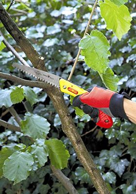 OUTILS WOLF - Scie de jardinage repliable - Lame 15cm dentur…