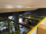 a view of a room with plants growing on the walls
