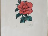 an image of a drawing of a red rose with green leaves