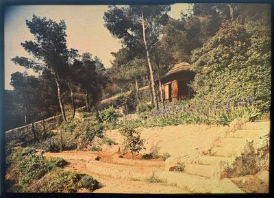 une vieille photo d'une petite maison dans les bois