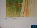 a picture of a picture of a field with poppies