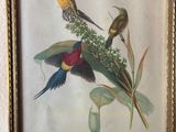 deux oiseaux perchés sur une branche d'une plante