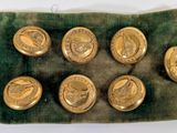 Plusieurs pièces d'or sont posées sur un sac en velours vert