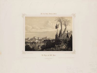 une vieille photo représentant une vue d'une ville avec des palmiers