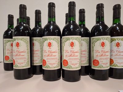 16 Bouteilles Côtes de Marmandais 1998 Les Charmes de Bellevue Domaine