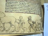 a picture of a book with a drawing of a man on a horse