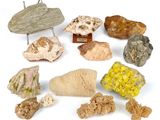 many different types of rocks on display on a white surface