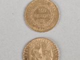 two gold coins sitting side by side on a white surface