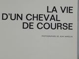 Photo 17/18 du lot