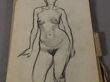 an image of a drawing of a female figure in a book