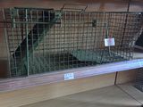 a bird that is sitting in a cage on a shelf