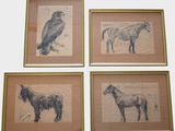trois dessins encadrés représentant des chevaux et un oiseau sur un mur blanc