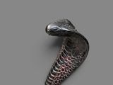 a black snake with a red stripe on it ' s head
