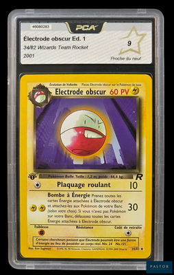 une image représentant une carte Pokémon dans un étui en plastique