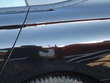 a close up of a car door with a cat on it