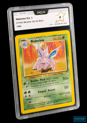 La carte Pokémon se trouve dans un étui en plastique transparent sur fond noir.
