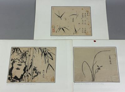 three chinese ink paintings of birds and flowers on paper