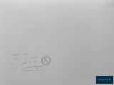 Photo 4/5 du lot