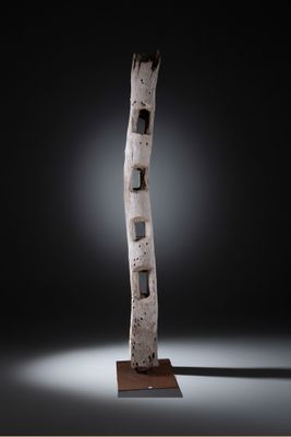 Echelle de case « lopo » (Timor Oriental) en bois érodé :230… - Photo 1