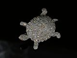 silver turtle broochle on black background with reflection