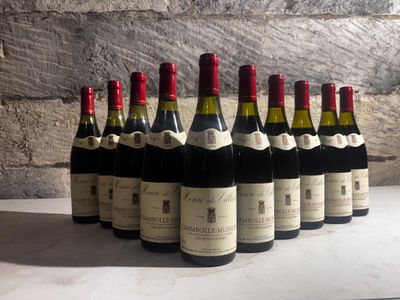 bottles of red and white wine lined up in a row