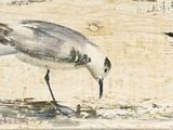 de nombreux oiseaux perchés sur un morceau de bois