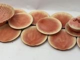 a lot of shells that are sitting on a table