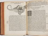 an open book with a drawing of a dragon on it