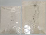 two drawings of a woman in a bathing suit and a man in a bathing suit