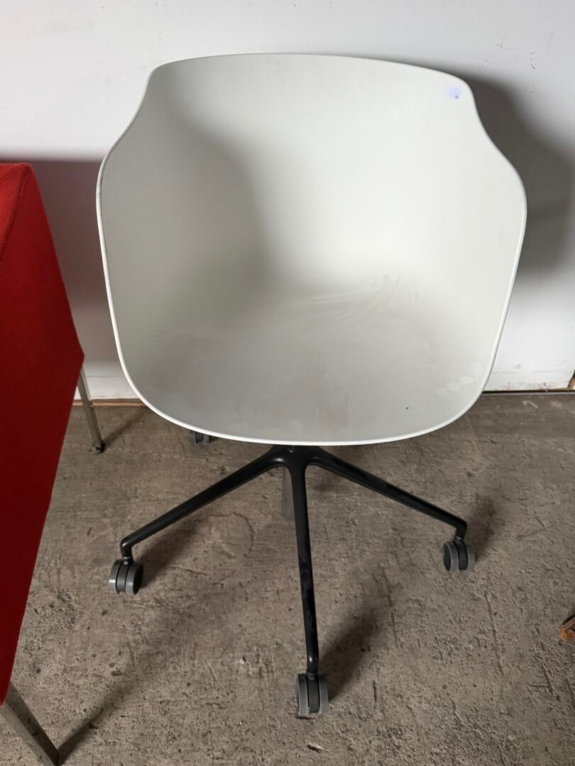 Objets d'art & Curiosités