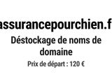 Photo 1/1 du lot