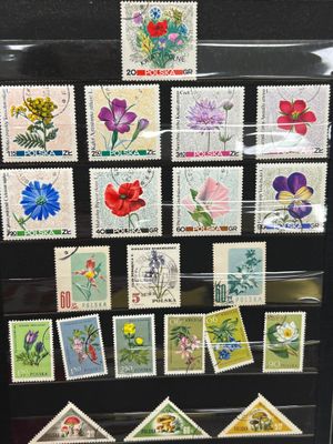 2 Albums de timbres de France neufs et oblitérés