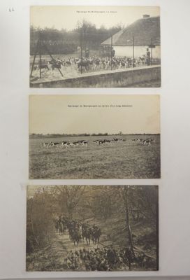 une vieille photo en noir et blanc représentant un troupeau de bovins dans un champ